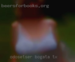 OdoSetser Bogata TX